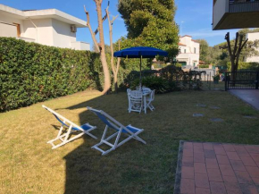 Gelso Tirrenia